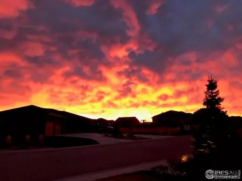 6045 Stone Chase Ct, Windsor, CO 80550 photo 30