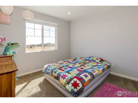 5736 Stone Chase Dr, Windsor, CO 80550 photo 22