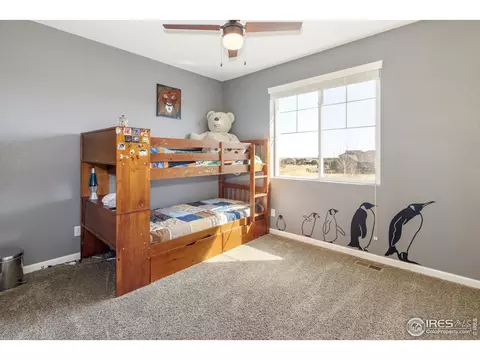 5736 Stone Chase Dr, Windsor, CO 80550 photo 19