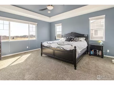 5736 Stone Chase Dr, Windsor, CO 80550 photo 16
