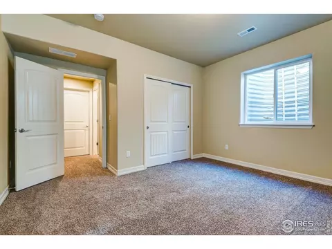 1289 Baker Pass St, Windsor, CO 80550 photo 10