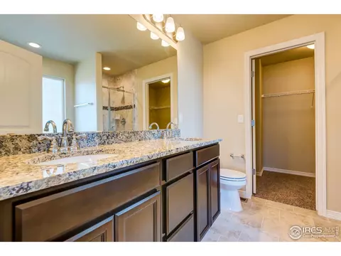 1289 Baker Pass St, Windsor, CO 80550 photo 21