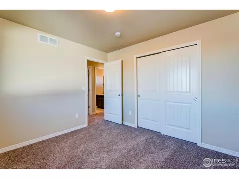1289 Baker Pass St, Windsor, CO 80550 photo 7