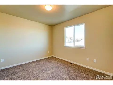 1289 Baker Pass St, Windsor, CO 80550 photo 5