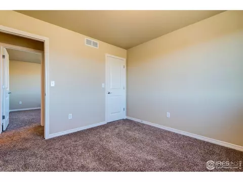 1289 Baker Pass St, Windsor, CO 80550 photo 6