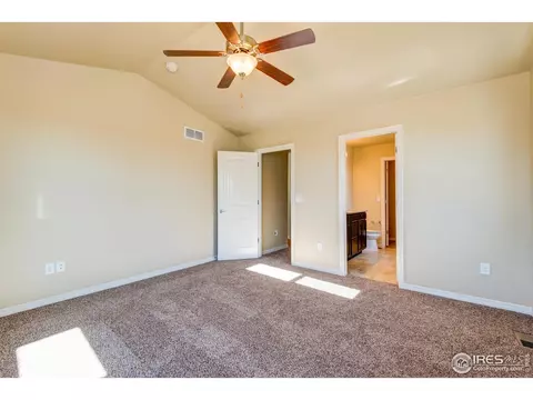 1289 Baker Pass St, Windsor, CO 80550 photo 26