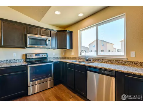 1289 Baker Pass St, Windsor, CO 80550 photo 19