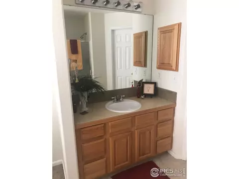 112 Bayside Cir, Windsor, CO 80550 photo 20