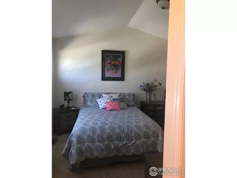 112 Bayside Cir, Windsor, CO 80550 photo 21