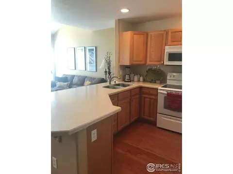 112 Bayside Cir, Windsor, CO 80550 photo 5