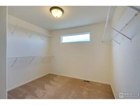 2132 Crop Row Dr, Windsor, CO 80550 photo 18