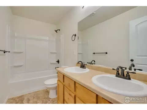 2132 Crop Row Dr, Windsor, CO 80550 photo 23