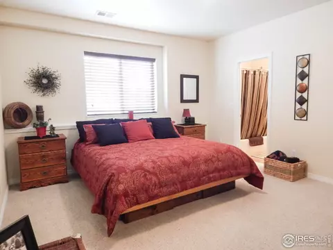 3814 Jay Hawk Ct, Dacono, CO 80514 photo 26