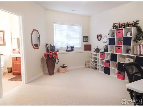 3814 Jay Hawk Ct, Dacono, CO 80514 photo 28