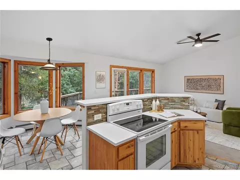 41 Damascus Rd, Black Hawk, CO 80422 photo 10