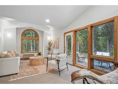 41 Damascus Rd, Black Hawk, CO 80422 photo 12
