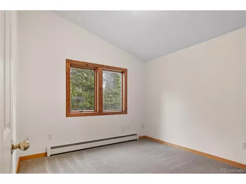 41 Damascus Rd, Black Hawk, CO 80422 photo 23