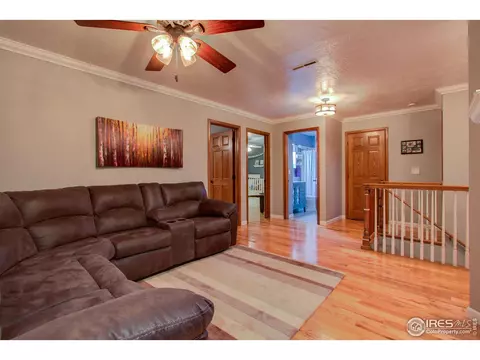 303 Teal Ct, Windsor, CO 80550 photo 20