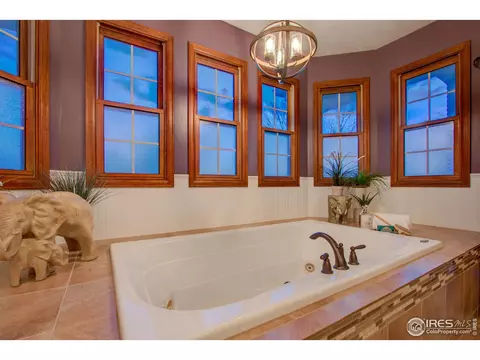 303 Teal Ct, Windsor, CO 80550 photo 24