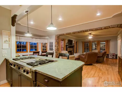 303 Teal Ct, Windsor, CO 80550 photo 16