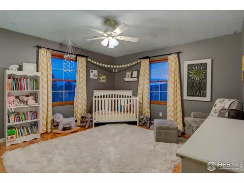 303 Teal Ct, Windsor, CO 80550 photo 27
