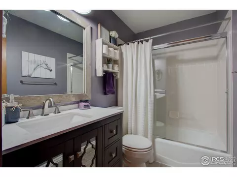303 Teal Ct, Windsor, CO 80550 photo 28