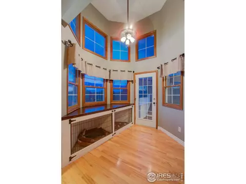303 Teal Ct, Windsor, CO 80550 photo 25