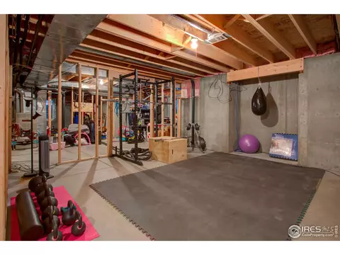 303 Teal Ct, Windsor, CO 80550 photo 31