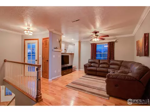 303 Teal Ct, Windsor, CO 80550 photo 19
