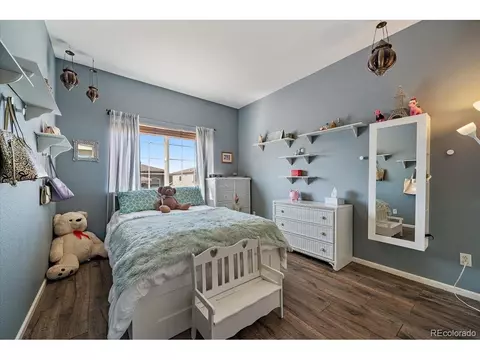 20253 E 47th Ave, Denver, CO 80249 photo 25
