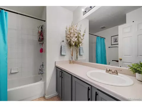 20253 E 47th Ave, Denver, CO 80249 photo 18