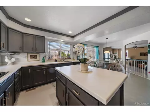 20253 E 47th Ave, Denver, CO 80249 photo 13