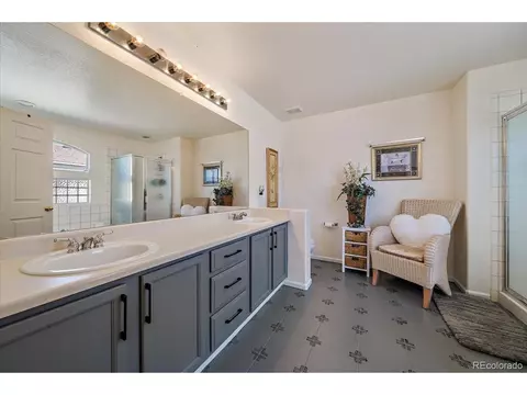 20253 E 47th Ave, Denver, CO 80249 photo 22