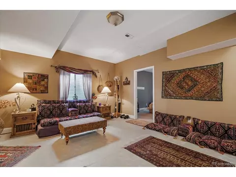 20253 E 47th Ave, Denver, CO 80249 photo 28