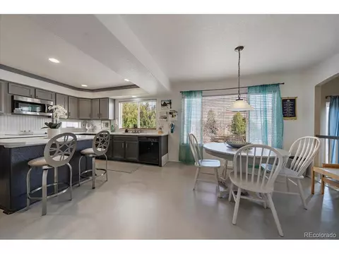 20253 E 47th Ave, Denver, CO 80249 photo 9