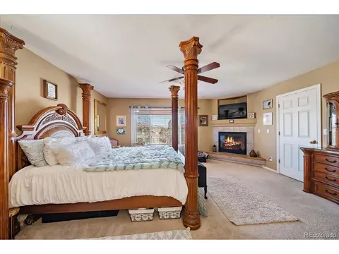 20253 E 47th Ave, Denver, CO 80249 photo 21