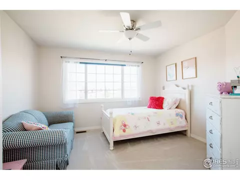 5476 Tiller Ct, Windsor, CO 80528 photo 27