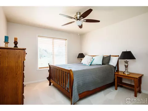 5476 Tiller Ct, Windsor, CO 80528 photo 25