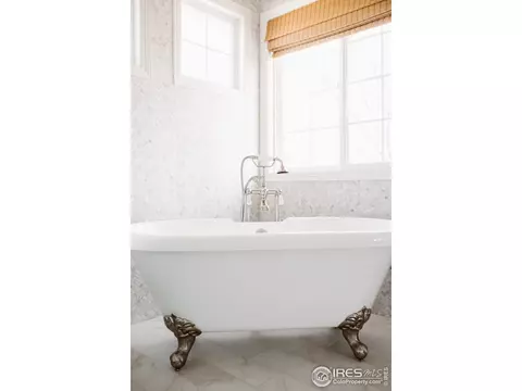 5476 Tiller Ct, Windsor, CO 80528 photo 23