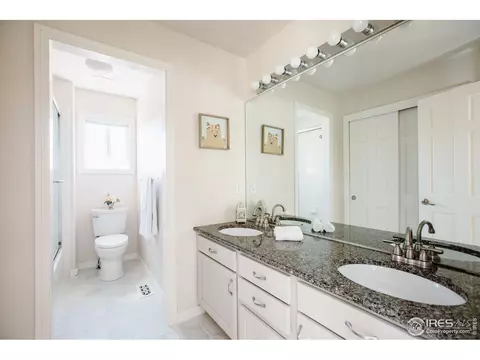 5476 Tiller Ct, Windsor, CO 80528 photo 29