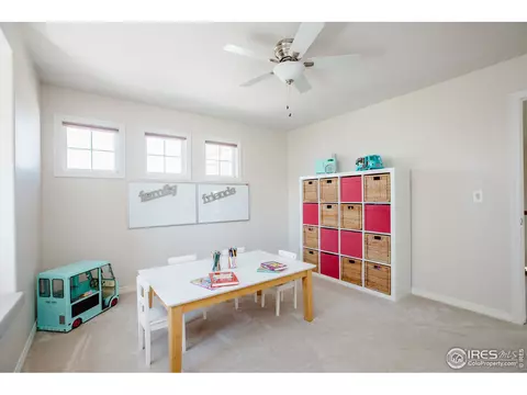 5476 Tiller Ct, Windsor, CO 80528 photo 28