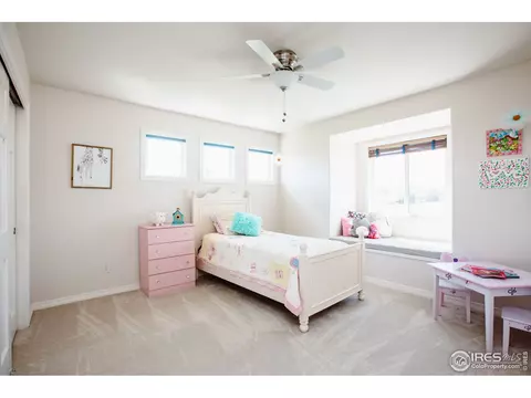 5476 Tiller Ct, Windsor, CO 80528 photo 24