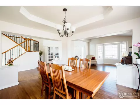 5476 Tiller Ct, Windsor, CO 80528 photo 9