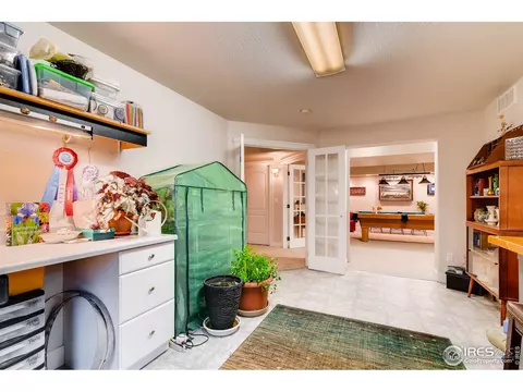 1417 Fairfield Ave, Windsor, CO 80550 photo 33
