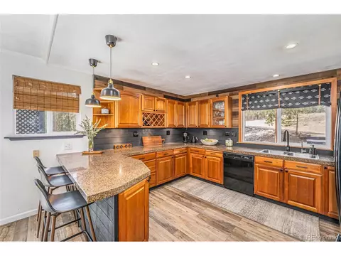31728 Stenzel Dr, Conifer, CO 80433 photo 8
