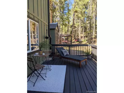 31728 Stenzel Dr, Conifer, CO 80433 photo 31