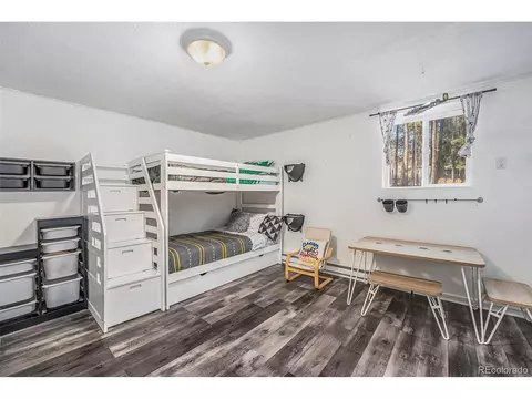 31728 Stenzel Dr, Conifer, CO 80433 photo 18
