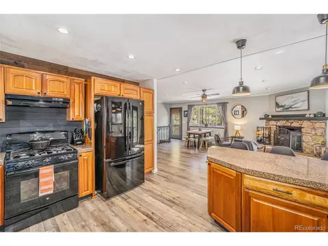 31728 Stenzel Dr, Conifer, CO 80433 photo 9