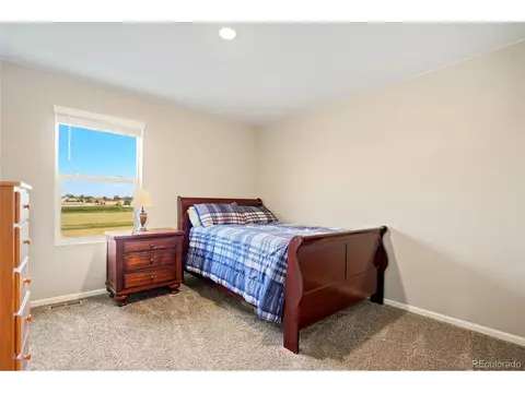 174 Haymaker Ln, Severance, CO 80550 photo 21
