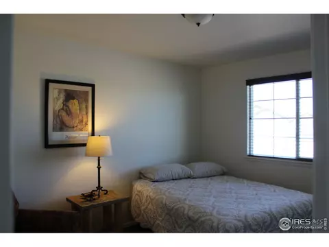 867 Lakebrook Ct, Windsor, CO 80550 photo 17